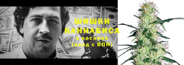 прущие грибы Наволоки