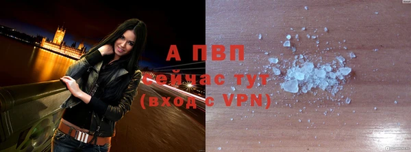 прущие грибы Наволоки