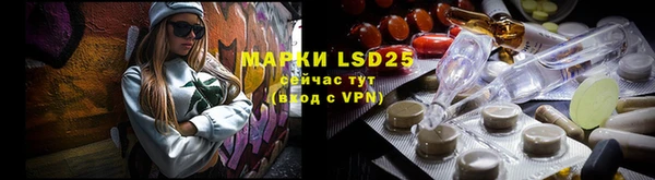 индика Надым