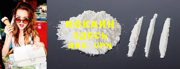 прущие грибы Наволоки