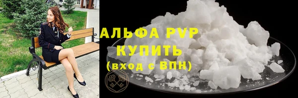 прущие грибы Наволоки