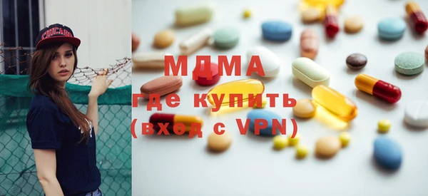 индика Надым