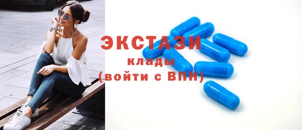 индика Надым