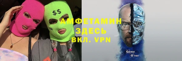 прущие грибы Наволоки
