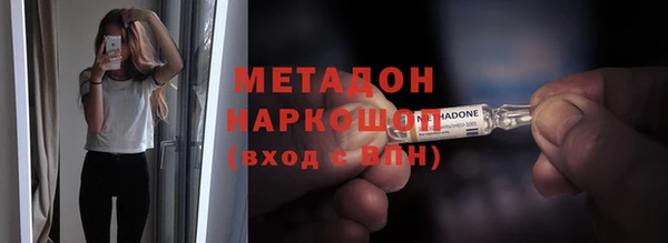 прущие грибы Наволоки