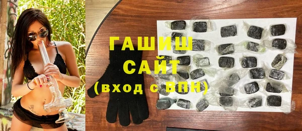 индика Надым