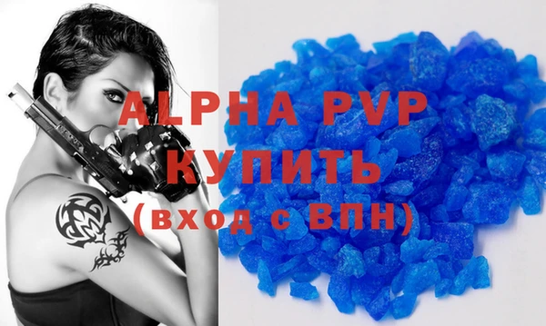 прущие грибы Наволоки