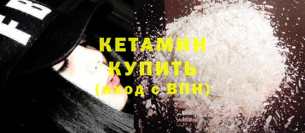 индика Надым