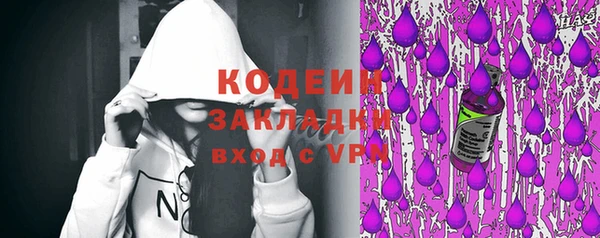 прущие грибы Наволоки