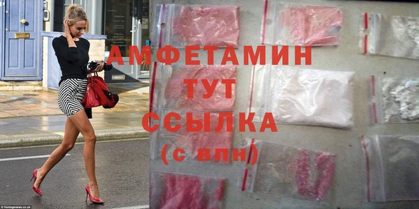 прущие грибы Наволоки