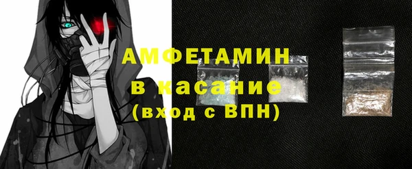 индика Надым