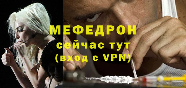 индика Надым