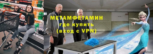 прущие грибы Наволоки