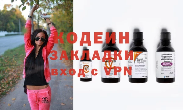 индика Надым