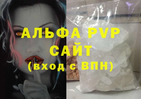 индика Надым