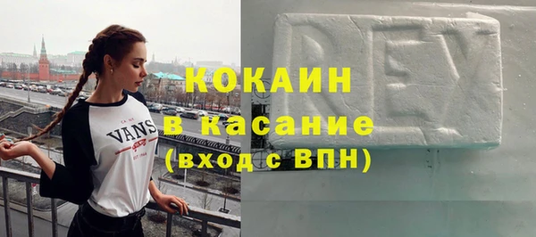 индика Надым