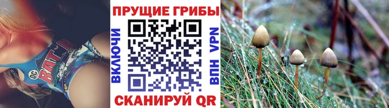 Галлюциногенные грибы MAGIC MUSHROOMS  Нижнекамск 